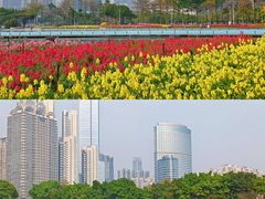 -海心沙亚运公园