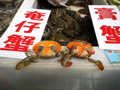 -大湾区中央湿地公园-十九涌