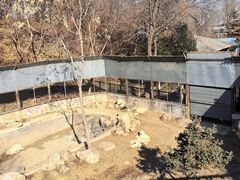 -石家庄市动物园