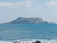 -涉地可支