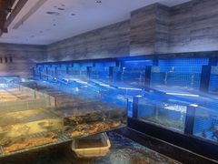 -姚江春中餐厅·太平洋大酒店
