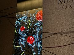 -MEDISN·药厂