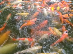 -珠海圆明新园