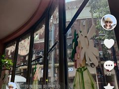 -WHEN PIGS FLY当猪飞