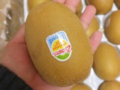-西郊国际农产品交易中心