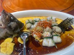 天麻烧汁鲈鱼-中卫御苑福膳·养生局(圆明园店)