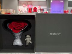 -ROSEONLY诺誓(国际广场购物中心店)