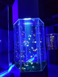 -未来动物城动物主题公园(大悦城店)