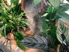 -相遇·鲜炒黄牛肉(丹阳吾悦广场店)