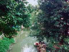 -小洲村