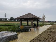 -那考河湿地公园