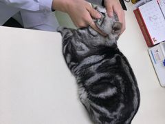 -宠颐生中康贝怡动物医院