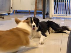 -平行世界·猫咖(首经贸店)