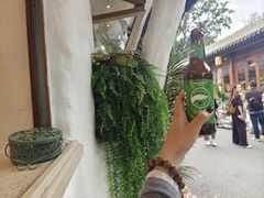 -Sirena海妖日咖夜酒