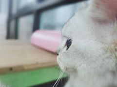 -AK健身普拉提拉伸私教馆(中八店)
