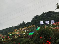 -枇杷园食为鲜火锅(南山店)