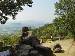 -灵岩山风景区