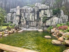 -森波拉奇妙世界