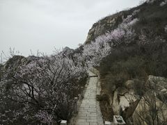 -北京凤凰岭