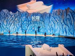 -珠海长隆海洋王国