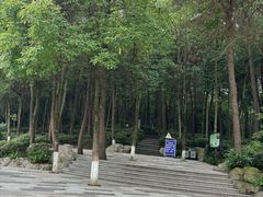 -铁山坪森林公园