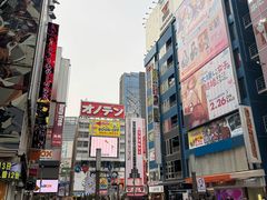 -秋叶原电器街