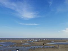 -碧海金沙