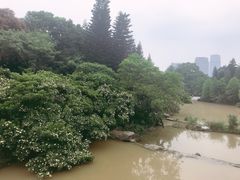 -云溪植物园