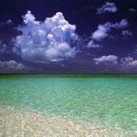 -薇兰专业脱毛连锁机构