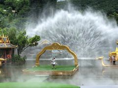 -西双版纳原始森林公园