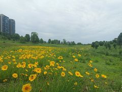 -成都蒲江花样年福朋喜来登度假酒店·宜客乐西餐厅