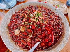 -青城甲(青城山店)