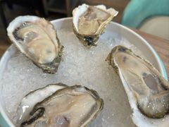 -探窝·竹笙椰子鸡(杨箕店)