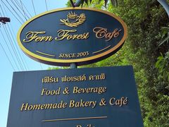 -Fern Forest Cafe