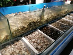 水产区-深海800米海鲜自助(万达广场店)