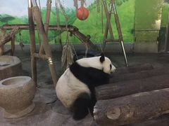 -柳州市动物园