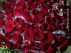 -哈根达斯(国瑞店)