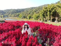 -广州市石门国家森林公园