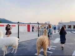 -Blue Concept Cafe&Farm·關於藍