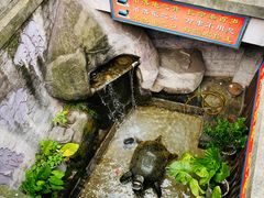 -汴河街