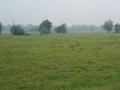 -汉长安城未央宫国家考古遗址公园