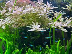 -上海海洋水族馆