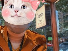 -真打拉面·日式拉面新流派(体育西横街店)