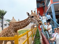 -西霞口神雕山野生动物世界