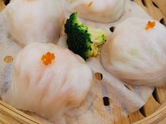 -金华安大酒楼·老牌潮菜·粤式茶点(东方国际店)