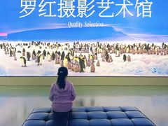 -罗红摄影艺术馆