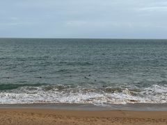 -宴悦海鲜餐厅·游水海鲜·牛排(亚龙湾瑞吉店)