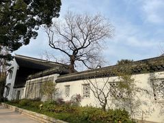-上海醉白池公园