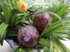鸵鸟蛋-鲜力达果品批发直销(青山店)