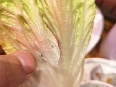 -庆峰龙虾烧烤(合肥一店)